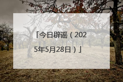 今日辟谣（2025年5月28日）