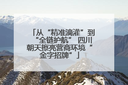 从“精准滴灌”到“全链护航” 四川朝天擦亮营商环境“金字招牌”