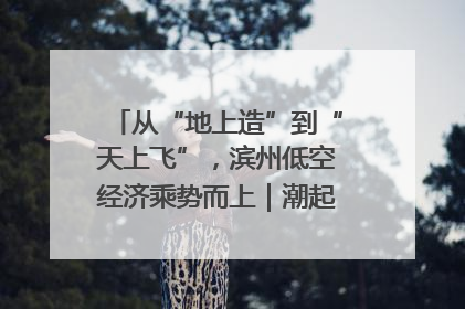从“地上造”到“天上飞”，滨州低空经济乘势而上｜潮起渤海・网聚黄蓝