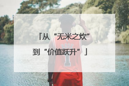 从“无米之炊”到“价值跃升”
