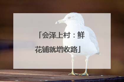 会泽上村：鲜花铺就增收路
