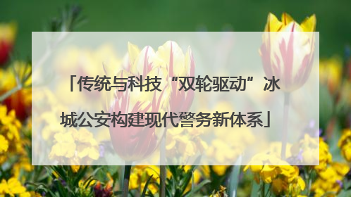 传统与科技“双轮驱动”冰城公安构建现代警务新体系