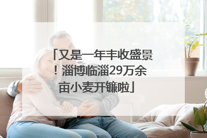 又是一年丰收盛景！淄博临淄29万余亩小麦开镰啦