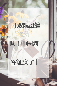 双航母编队！中国海军证实了
