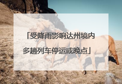 受降雨影响达州境内多趟列车停运或晚点