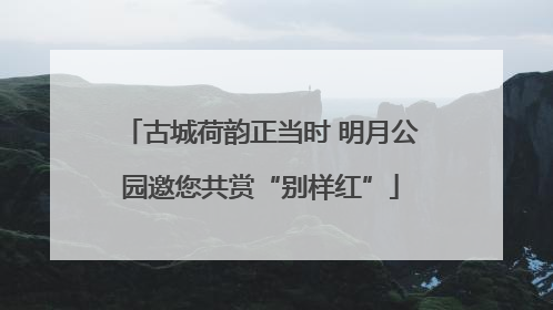 古城荷韵正当时 明月公园邀您共赏“别样红”