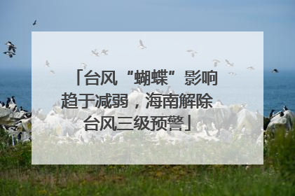 台风“蝴蝶”影响趋于减弱，海南解除台风三级预警