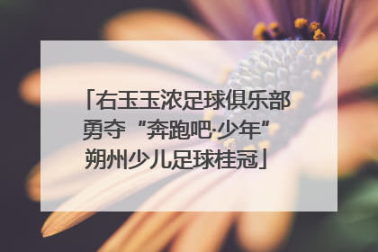 右玉玉浓足球俱乐部勇夺“奔跑吧·少年”朔州少儿足球桂冠