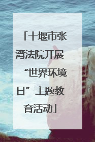 十堰市张湾法院开展“世界环境日”主题教育活动