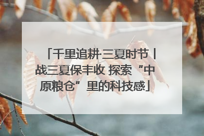 千里追耕·三夏时节丨战三夏保丰收 探索“中原粮仓”里的科技感