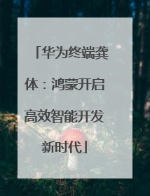 华为终端龚体：鸿蒙开启高效智能开发新时代