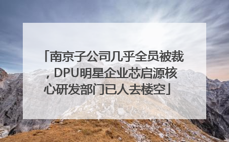 南京子公司几乎全员被裁，DPU明星企业芯启源核心研发部门已人去楼空