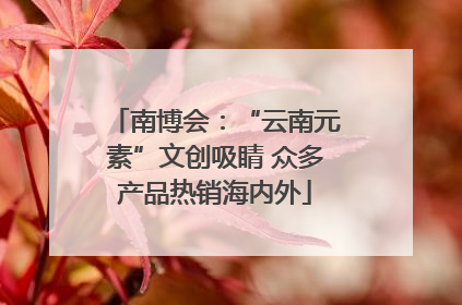 南博会：“云南元素”文创吸睛 众多产品热销海内外