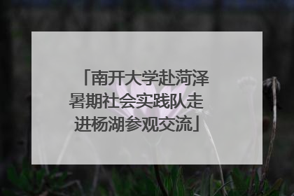 南开大学赴菏泽暑期社会实践队走进杨湖参观交流