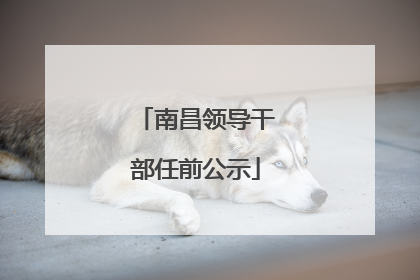 南昌领导干部任前公示