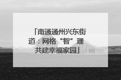 南通通州兴东街道：网格“智”理 共建幸福家园