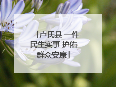 卢氏县 一件民生实事 护佑群众安康