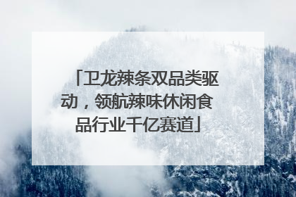 卫龙辣条双品类驱动，领航辣味休闲食品行业千亿赛道