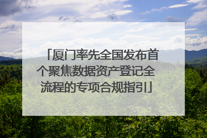厦门率先全国发布首个聚焦数据资产登记全流程的专项合规指引