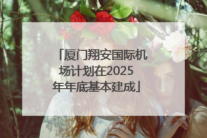 厦门翔安国际机场计划在2025年年底基本建成