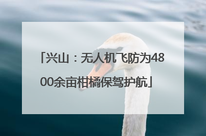 兴山：无人机飞防为4800余亩柑橘保驾护航