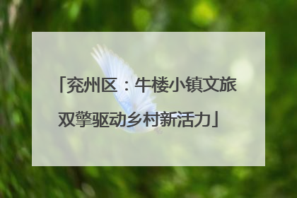 兖州区：牛楼小镇文旅双擎驱动乡村新活力