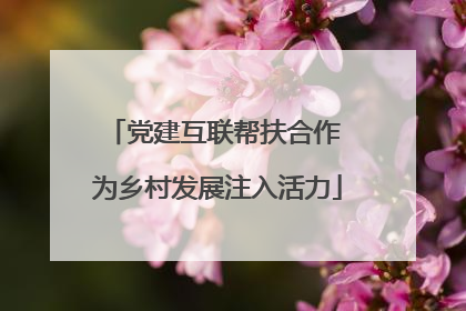 党建互联帮扶合作 为乡村发展注入活力