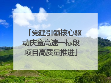 党建引领核心驱动庆章高速一标段项目高质量推进