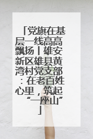 党旗在基层一线高高飘扬丨雄安新区雄县黄湾村党支部：在老百姓心里，筑起“一座山”