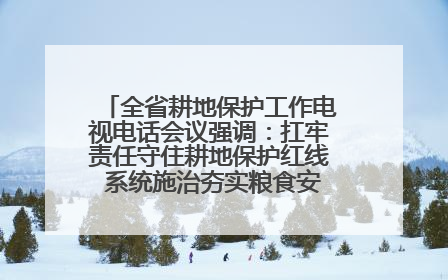 全省耕地保护工作电视电话会议强调：扛牢责任守住耕地保护红线 系统施治夯实粮食安全根基 王宁作出批示 王予波出席并讲话
