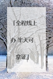 全程线上办 半天可拿证