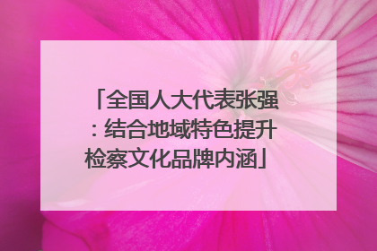 全国人大代表张强：结合地域特色提升检察文化品牌内涵