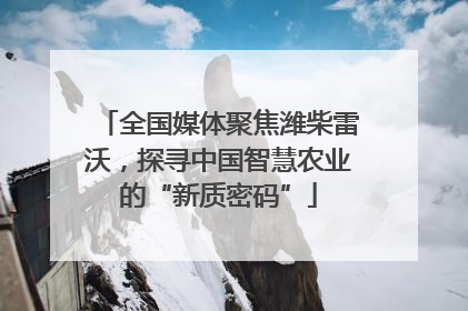 全国媒体聚焦潍柴雷沃，探寻中国智慧农业的“新质密码”