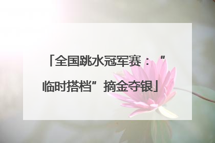 全国跳水冠军赛：“临时搭档”摘金夺银