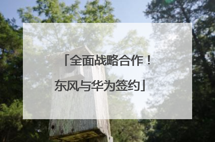 全面战略合作！东风与华为签约