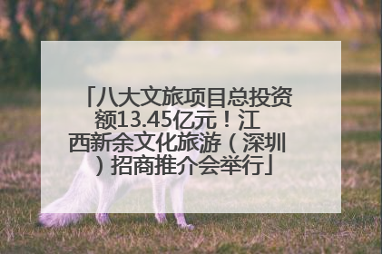 八大文旅项目总投资额13.45亿元！江西新余文化旅游（深圳）招商推介会举行