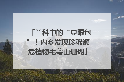 兰科中的“显眼包”！内乡发现珍稀濒危植物毛萼山珊瑚