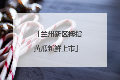 兰州新区拇指黄瓜新鲜上市