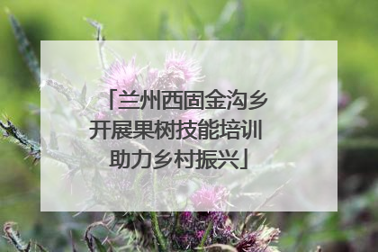 兰州西固金沟乡开展果树技能培训 助力乡村振兴