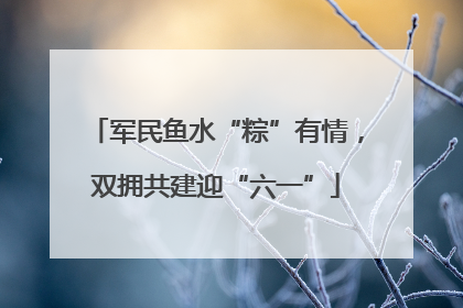 军民鱼水“粽”有情，双拥共建迎“六一”