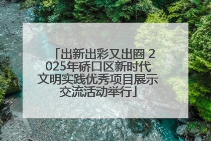 出新出彩又出圈 2025年硚口区新时代文明实践优秀项目展示交流活动举行