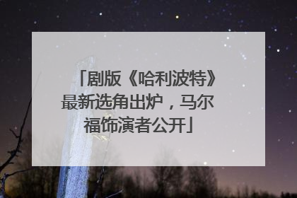 剧版《哈利波特》最新选角出炉，马尔福饰演者公开