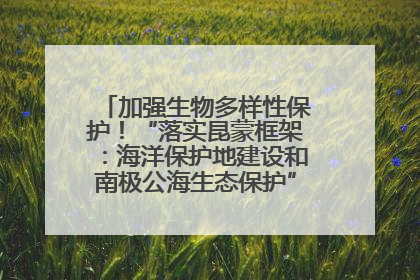加强生物多样性保护！“落实昆蒙框架：海洋保护地建设和南极公海生态保护”主题论坛将举办