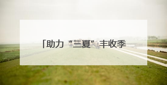 助力“三夏”丰收季，山东高速平度西收费站推出贴心服务