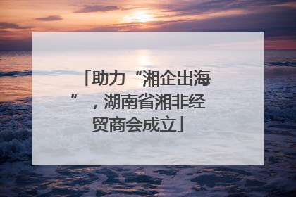 助力“湘企出海”，湖南省湘非经贸商会成立