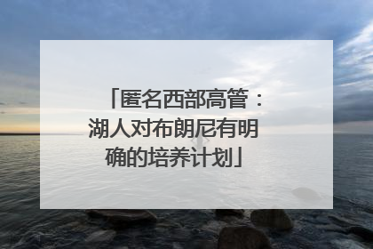 匿名西部高管：湖人对布朗尼有明确的培养计划