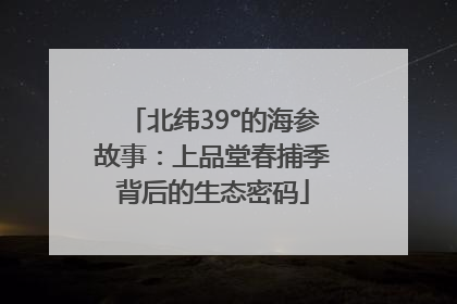 北纬39°的海参故事：上品堂春捕季背后的生态密码