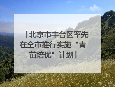 北京市丰台区率先在全市推行实施“青苗培优”计划