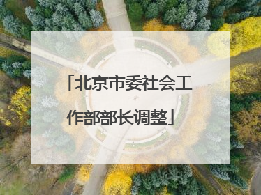 北京市委社会工作部部长调整