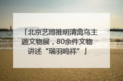 北京艺博推明清禽鸟主题文物展，80余件文物讲述“瑞羽鸣祥”